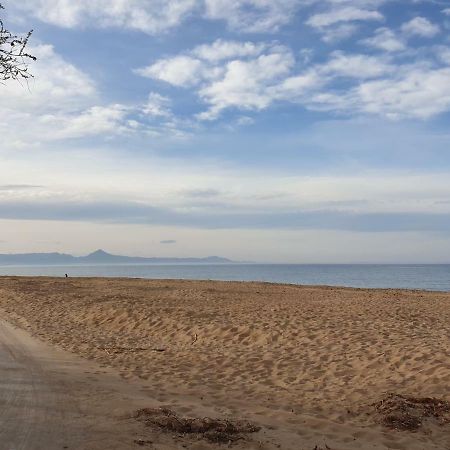 Assagador Del Palmar, 1 Dormitorio, Playa A 50M, By BookinДения Екстериор снимка